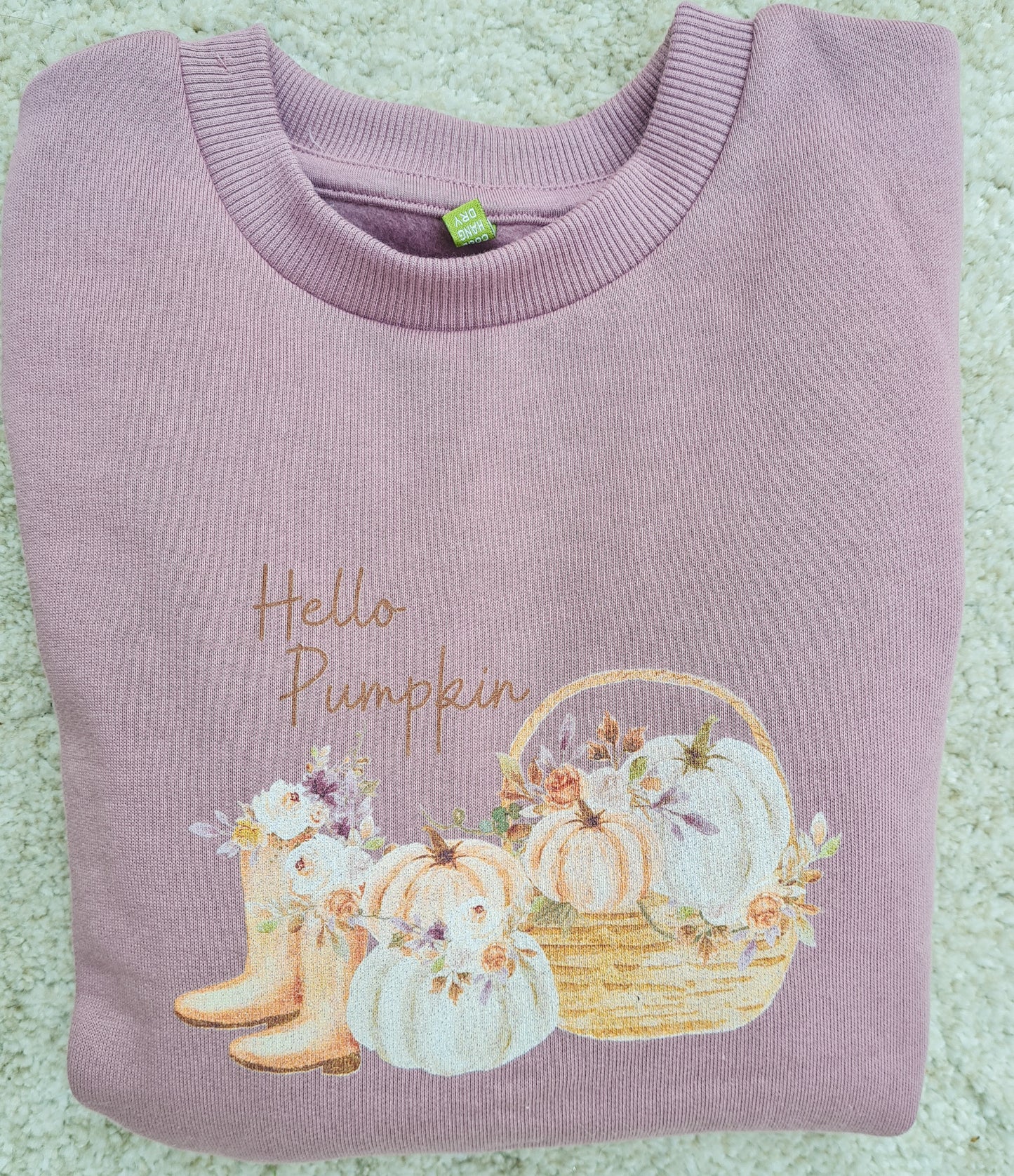 Hello Pumpkin Mauve Jumper